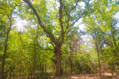 Residential Property for sale in Robertson County, Texas