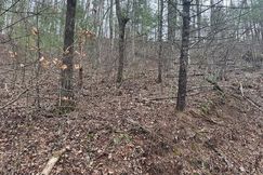 Undeveloped Land for sale in Blount County, Tennessee