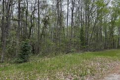 Undeveloped Land for sale in Caroline County, Virginia