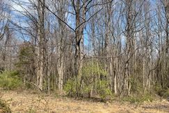 Undeveloped Land for sale in Fairfax County, Virginia