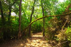 Residential Property for sale in Robertson County, Texas