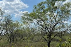 Undeveloped Land for sale in Johnson County, Texas