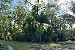 Undeveloped Land for sale in Hawaii County, Hawaii