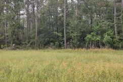 Undeveloped Land for sale in Pearl River County, Mississippi