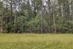Undeveloped Land for sale in Pearl River County, Mississippi