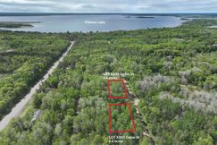 Undeveloped Land for sale in Crow Wing County, Minnesota