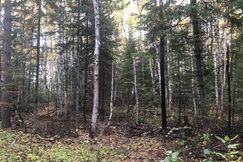 Property for sale in Saint Louis County, Minnesota