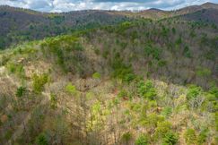 Undeveloped Land for sale in Gilmer County, Georgia