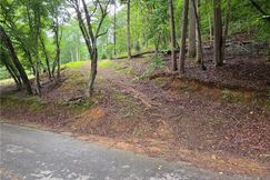 Undeveloped Land for sale in Gilmer County, Georgia
