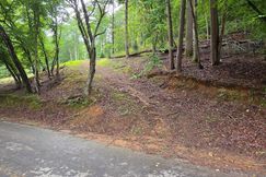 Undeveloped Land for sale in Gilmer County, Georgia