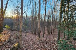 Undeveloped Land for sale in Gilmer County, Georgia