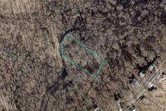 Undeveloped Land for sale in Gilmer County, Georgia