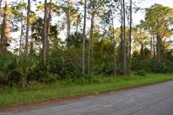 Undeveloped Land for sale in Lee County, Florida