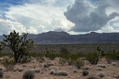 Undeveloped Land for sale in Mohave County, Arizona