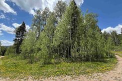 Undeveloped Land for sale in La Plata County, Colorado