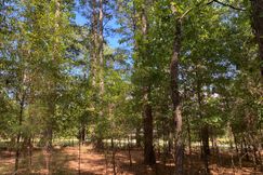 Recreational Property for sale in Greenville County, South Carolina