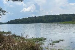Riverfront Property for sale in Wilcox County, Alabama