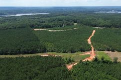 Undeveloped Land for sale in Tishomingo County, Mississippi