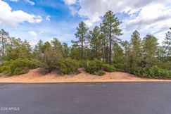 Undeveloped Land for sale in Gila County, Arizona