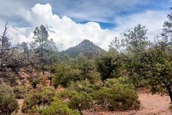 Undeveloped Land for sale in Gila County, Arizona