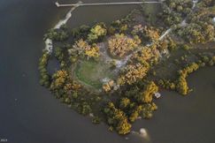 Undeveloped Land for sale in Levy County, Florida
