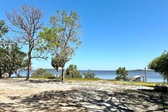 Undeveloped Land for sale in Levy County, Florida