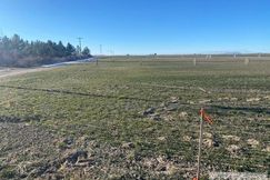 Undeveloped Land for sale in Bingham County, Idaho