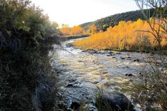 Undeveloped Land for sale in Mesa County, Colorado