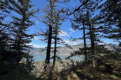 Undeveloped Land for sale in Hood River County, Oregon