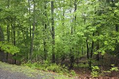 Lakefront Property for sale in Gilmer County, Georgia
