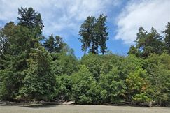 Undeveloped Land for sale in Pierce County, Washington