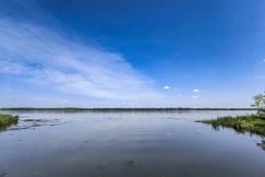 Lakefront Property for sale in Decatur County, Georgia
