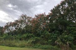 Undeveloped Land for sale in Seminole County, Florida