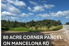 Undeveloped Land for sale in Antrim County, Michigan