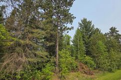 Undeveloped Land for sale in Beltrami County, Minnesota