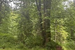 Undeveloped Land for sale in Marion County, Oregon