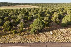 Undeveloped Land for sale in Apache County, Arizona