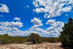 Undeveloped Land for sale in Apache County, Arizona