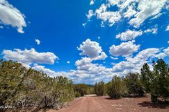 Undeveloped Land for sale in Apache County, Arizona