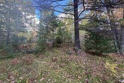 Undeveloped Land for sale in Iron County, Michigan