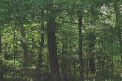 Undeveloped Land for sale in Jefferson County, Alabama
