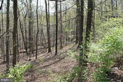 Undeveloped Land for sale in Warren County, Virginia
