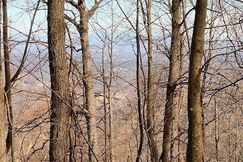 Undeveloped Land for sale in Roanoke County, Virginia