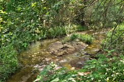 Property for sale in Harper County, Kansas