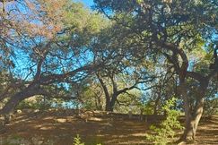 Undeveloped Land for sale in Real County, Texas