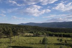 Undeveloped Land for sale in Colfax County, New Mexico