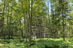 Undeveloped Land for sale in Chippewa County, Michigan