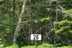 Undeveloped Land for sale in Chippewa County, Michigan