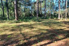Undeveloped Land for sale in Pearl River County, Mississippi