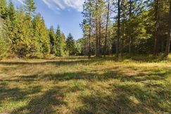 Undeveloped Land for sale in Shoshone County, Idaho